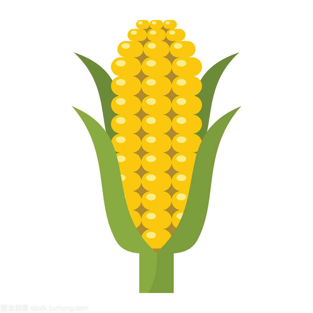 玉米中卡通平面样式孤立的对象蔬菜有机生态生物产品从农场矢量图图标