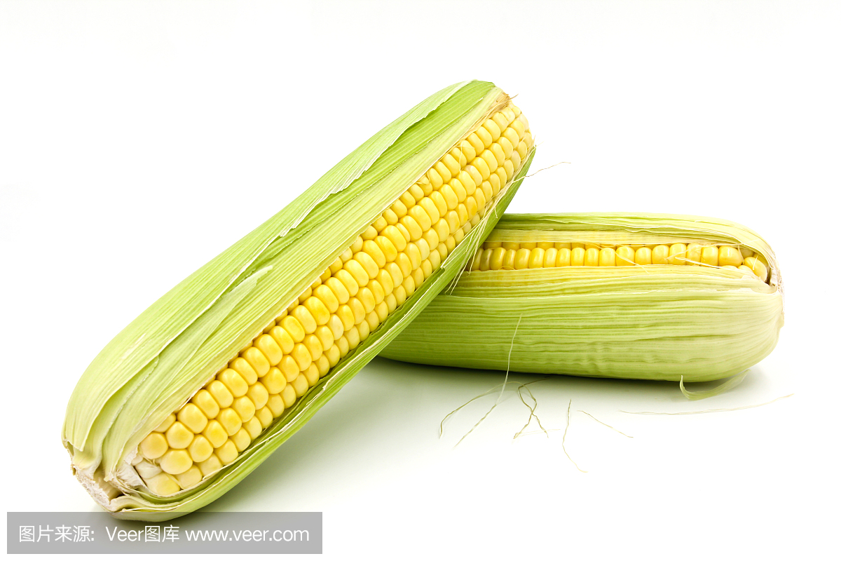白色背景上分离的新鲜玉米